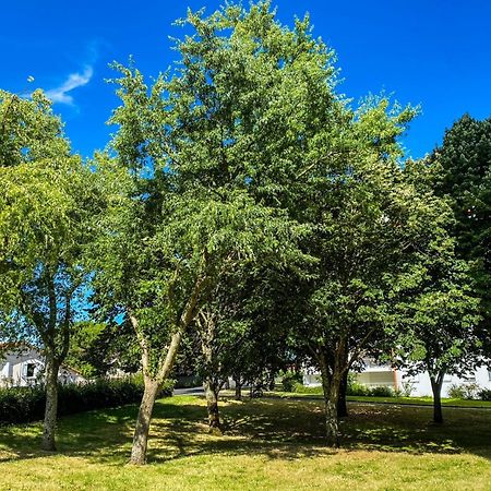 Apartmán T3 Moderne Avec Balcon Terrasse Et Parking Gratuit Niort Exteriér fotografie