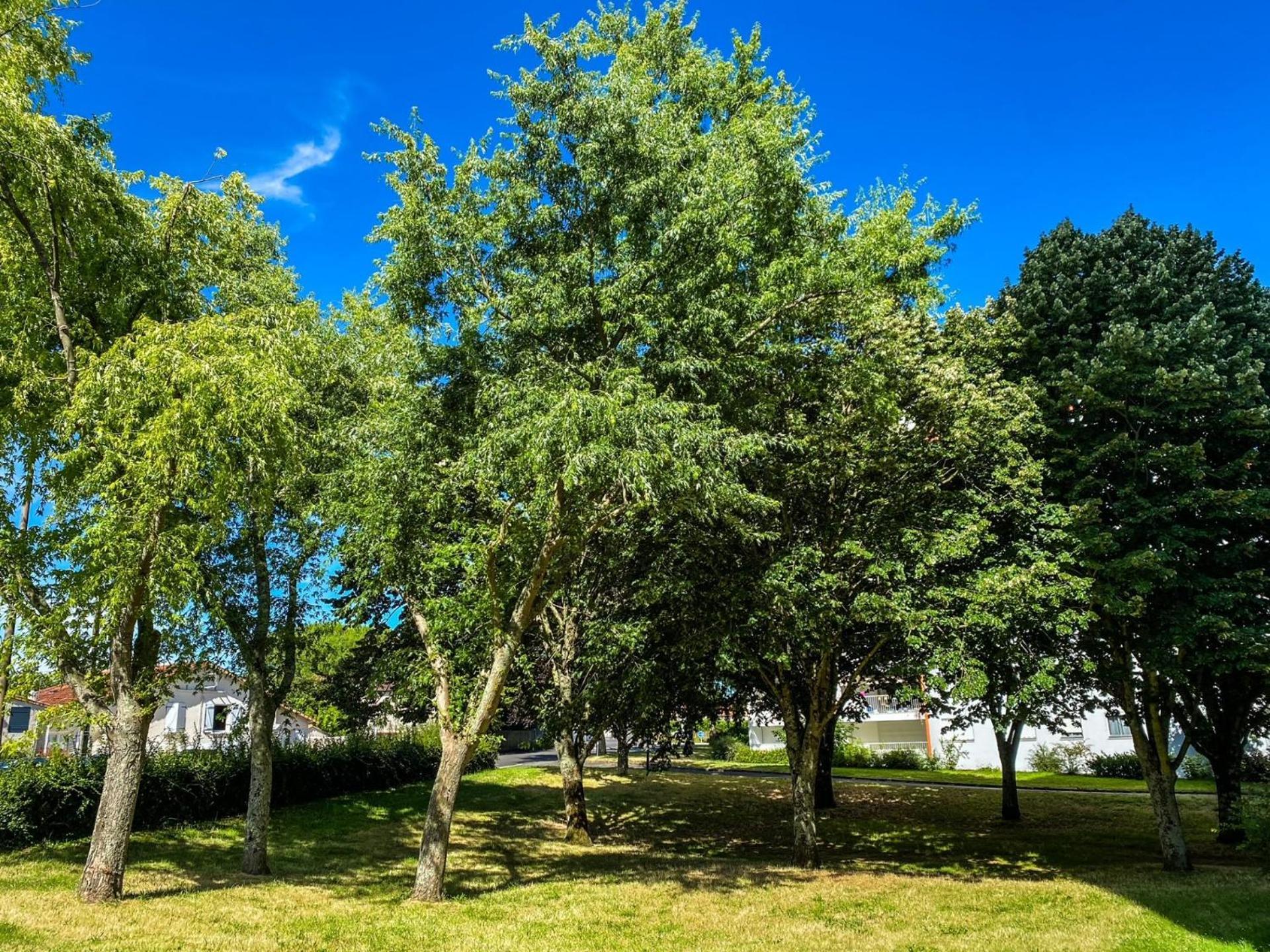 Apartmán T3 Moderne Avec Balcon Terrasse Et Parking Gratuit Niort Exteriér fotografie